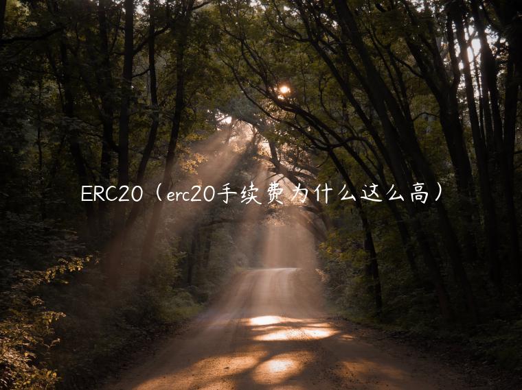 12月20日一马当先冲上涨停板
